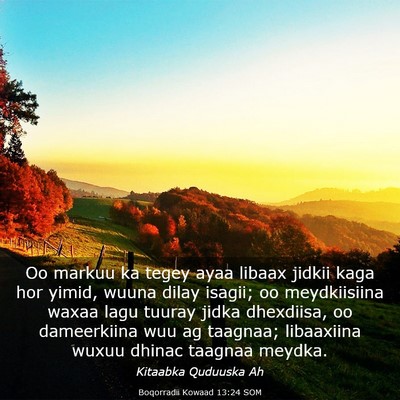 Picture 03 - Boqorradii Kowaad 13:24 SOM - Oo markuu ka tegey ayaa libaax jidkii kaga hor - Bible Verse Picture