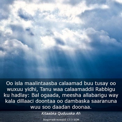 Picture 03 - Boqorradii Kowaad 13:3 SOM - Oo isla maalintaasba calaamad buu tusay oo wuxuu - Bible Verse Picture