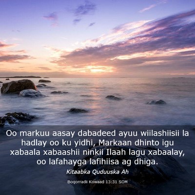 Picture 03 - Boqorradii Kowaad 13:31 SOM - Oo markuu aasay dabadeed ayuu wiilashiisii la - Bible Verse Picture