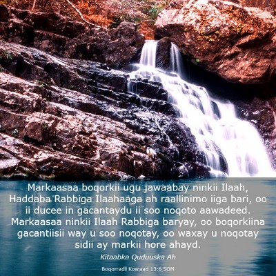 Picture 03 - Boqorradii Kowaad 13:6 SOM - Markaasaa boqorkii ugu jawaabay ninkii Ilaah, - Bible Verse Picture