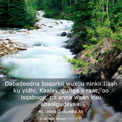 Picture 03 - Boqorradii Kowaad 13:7 SOM - Dabadeedna boqorkii wuxuu ninkii Ilaah ku yidhi, - Bible Verse Picture