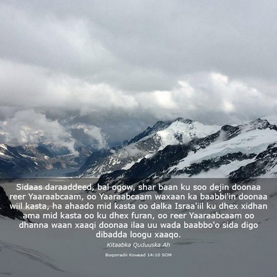 Picture 03 - Boqorradii Kowaad 14:10 SOM - Sidaas daraaddeed, bal ogow, shar baan ku soo - Bible Verse Picture
