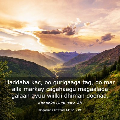 Picture 03 - Boqorradii Kowaad 14:12 SOM - Haddaba kac, oo gurigaaga tag, oo mar alla markay - Bible Verse Picture