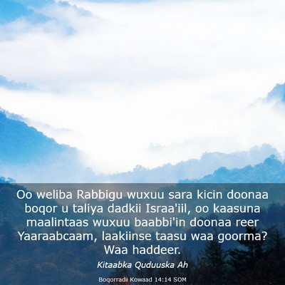 Picture 03 - Boqorradii Kowaad 14:14 SOM - Oo weliba Rabbigu wuxuu sara kicin doonaa boqor u - Bible Verse Picture