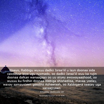 Picture 03 - Boqorradii Kowaad 14:15 SOM - Waayo, Rabbigu wuxuu dadkii Israa'iil u layn - Bible Verse Picture