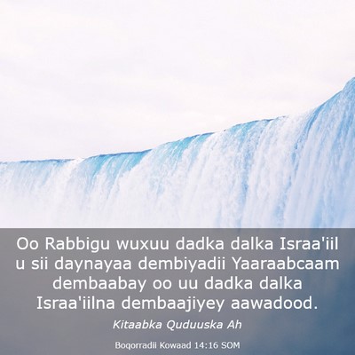 Picture 03 - Boqorradii Kowaad 14:16 SOM - Oo Rabbigu wuxuu dadka dalka Israa'iil u sii - Bible Verse Picture