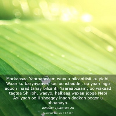 Picture 03 - Boqorradii Kowaad 14:2 SOM - Markaasaa Yaaraabcaam wuxuu bilcantiisii ku - Bible Verse Picture