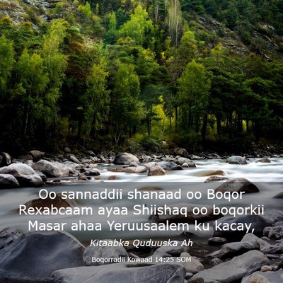 Picture 03 - Boqorradii Kowaad 14:25 SOM - Oo sannaddii shanaad oo Boqor Rexabcaam ayaa - Bible Verse Picture