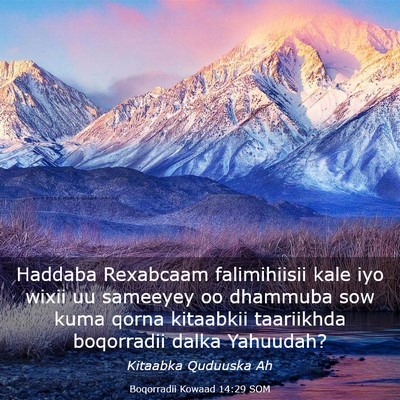 Picture 03 - Boqorradii Kowaad 14:29 SOM - Haddaba Rexabcaam falimihiisii kale iyo wixii uu - Bible Verse Picture