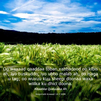 Picture 03 - Boqorradii Kowaad 14:3 SOM - Oo waxaad qaaddaa toban xabbadood oo kibis ah, - Bible Verse Picture