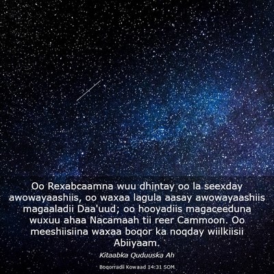 Picture 03 - Boqorradii Kowaad 14:31 SOM - Oo Rexabcaamna wuu dhintay oo la seexday - Bible Verse Picture