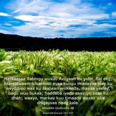 Picture 03 - Boqorradii Kowaad 14:5 SOM - Markaasaa Rabbigu wuxuu Axiiyaah ku yidhi, Bal - Bible Verse Picture