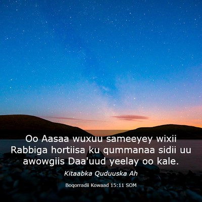 Picture 03 - Boqorradii Kowaad 15:11 SOM - Oo Aasaa wuxuu sameeyey wixii Rabbiga hortiisa ku - Bible Verse Picture