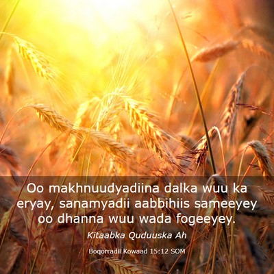 Picture 03 - Boqorradii Kowaad 15:12 SOM - Oo makhnuudyadiina dalka wuu ka eryay, sanamyadii - Bible Verse Picture
