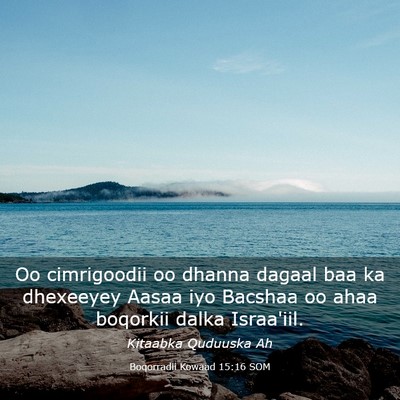 Picture 03 - Boqorradii Kowaad 15:16 SOM - Oo cimrigoodii oo dhanna dagaal baa ka dhexeeyey - Bible Verse Picture