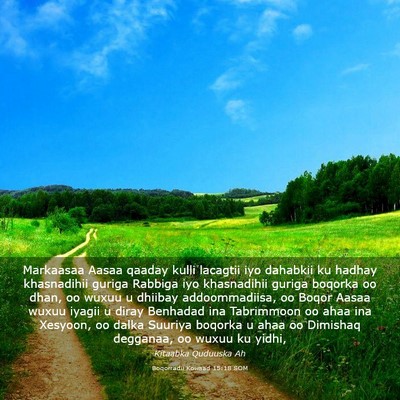 Picture 03 - Boqorradii Kowaad 15:18 SOM - Markaasaa Aasaa qaaday kulli lacagtii iyo - Bible Verse Picture