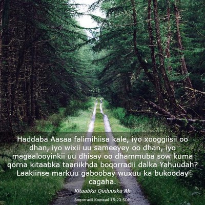 Picture 03 - Boqorradii Kowaad 15:23 SOM - Haddaba Aasaa falimihiisa kale, iyo xooggiisii oo - Bible Verse Picture