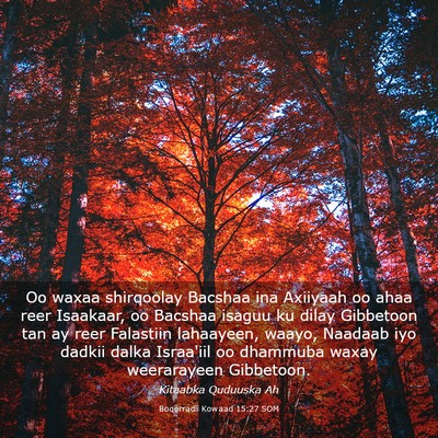 Picture 03 - Boqorradii Kowaad 15:27 SOM - Oo waxaa shirqoolay Bacshaa ina Axiiyaah oo ahaa - Bible Verse Picture