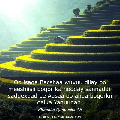 Picture 03 - Boqorradii Kowaad 15:28 SOM - Oo isaga Bacshaa wuxuu dilay oo meeshiisii boqor - Bible Verse Picture