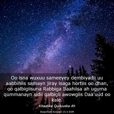 Picture 03 - Boqorradii Kowaad 15:3 SOM - Oo isna wuxuu sameeyey dembiyadii uu aabbihiis - Bible Verse Picture