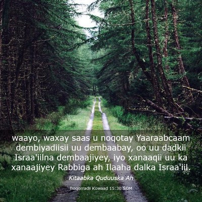 Picture 03 - Boqorradii Kowaad 15:30 SOM - waayo, waxay saas u noqotay Yaaraabcaam - Bible Verse Picture