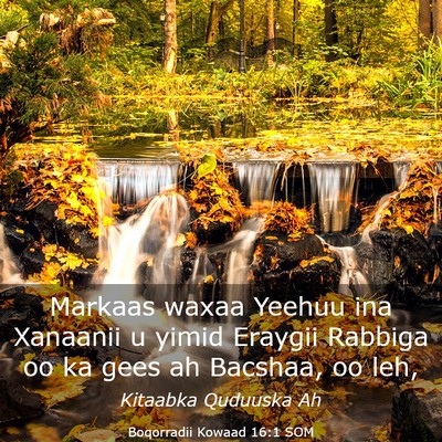 Picture 03 - Boqorradii Kowaad 16:1 SOM - Markaas waxaa Yeehuu ina Xanaanii u yimid Eraygii - Bible Verse Picture