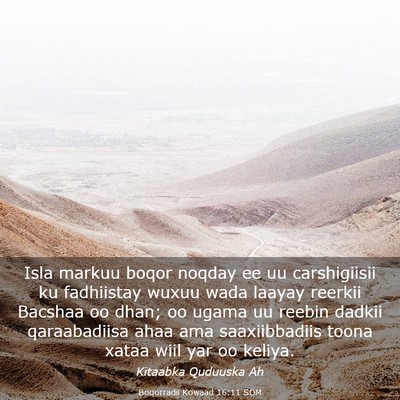 Picture 03 - Boqorradii Kowaad 16:11 SOM - Isla markuu boqor noqday ee uu carshigiisii ku - Bible Verse Picture