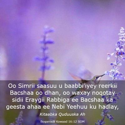 Picture 03 - Boqorradii Kowaad 16:12 SOM - Oo Simrii saasuu u baabbi'iyey reerkii Bacshaa oo - Bible Verse Picture