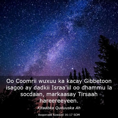Picture 03 - Boqorradii Kowaad 16:17 SOM - Oo Coomrii wuxuu ka kacay Gibbetoon isagoo ay - Bible Verse Picture