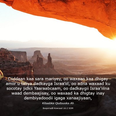 Picture 03 - Boqorradii Kowaad 16:2 SOM - Ciiddaan kaa sara mariyey, oo waxaan kaa dhigay - Bible Verse Picture