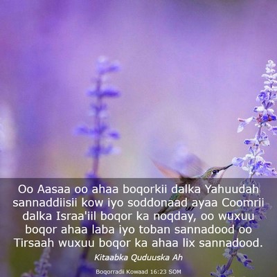 Picture 03 - Boqorradii Kowaad 16:23 SOM - Oo Aasaa oo ahaa boqorkii dalka Yahuudah - Bible Verse Picture