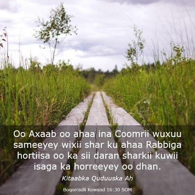Picture 03 - Boqorradii Kowaad 16:30 SOM - Oo Axaab oo ahaa ina Coomrii wuxuu sameeyey wixii - Bible Verse Picture