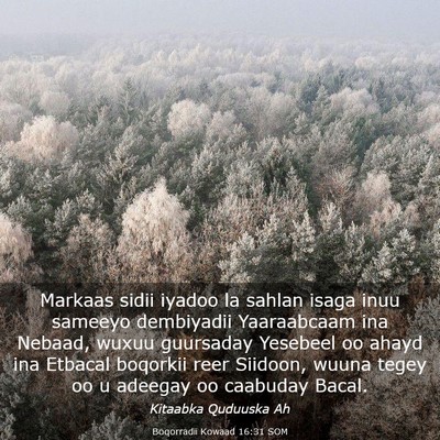 Picture 03 - Boqorradii Kowaad 16:31 SOM - Markaas sidii iyadoo la sahlan isaga inuu sameeyo - Bible Verse Picture