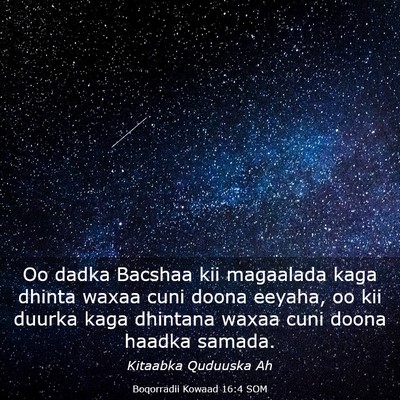 Picture 03 - Boqorradii Kowaad 16:4 SOM - Oo dadka Bacshaa kii magaalada kaga dhinta waxaa - Bible Verse Picture
