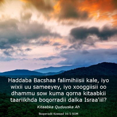 Picture 03 - Boqorradii Kowaad 16:5 SOM - Haddaba Bacshaa falimihiisii kale, iyo wixii uu - Bible Verse Picture