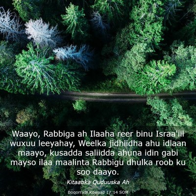 Picture 03 - Boqorradii Kowaad 17:14 SOM - Waayo, Rabbiga ah Ilaaha reer binu Israa'iil - Bible Verse Picture