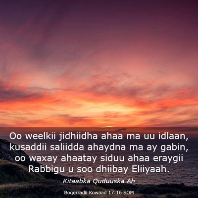 Picture 03 - Boqorradii Kowaad 17:16 SOM - Oo weelkii jidhiidha ahaa ma uu idlaan, kusaddii - Bible Verse Picture