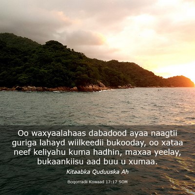 Picture 03 - Boqorradii Kowaad 17:17 SOM - Oo waxyaalahaas dabadood ayaa naagtii guriga - Bible Verse Picture