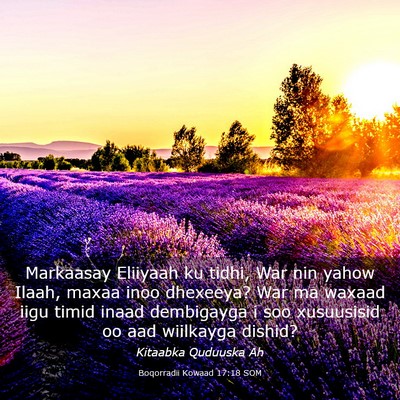 Picture 03 - Boqorradii Kowaad 17:18 SOM - Markaasay Eliiyaah ku tidhi, War nin yahow Ilaah, - Bible Verse Picture