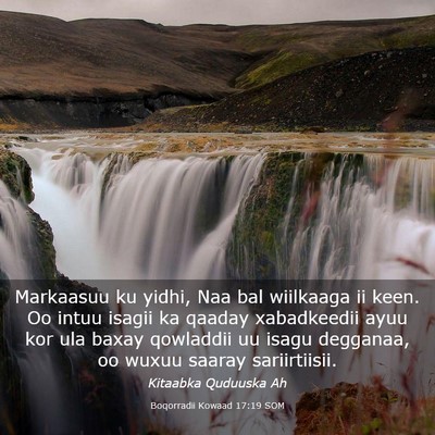 Picture 03 - Boqorradii Kowaad 17:19 SOM - Markaasuu ku yidhi, Naa bal wiilkaaga ii keen. Oo - Bible Verse Picture