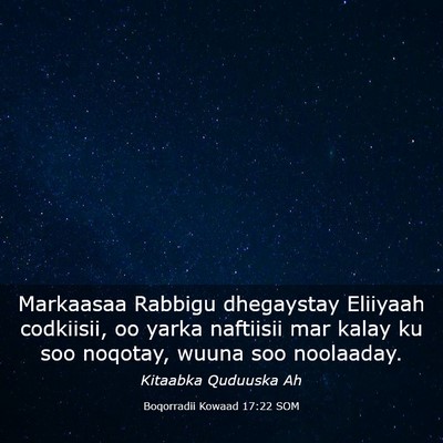 Picture 03 - Boqorradii Kowaad 17:22 SOM - Markaasaa Rabbigu dhegaystay Eliiyaah codkiisii, - Bible Verse Picture