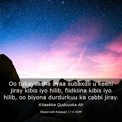 Picture 03 - Boqorradii Kowaad 17:6 SOM - Oo tukayaasha ayaa subaxdii u keeni jiray kibis - Bible Verse Picture