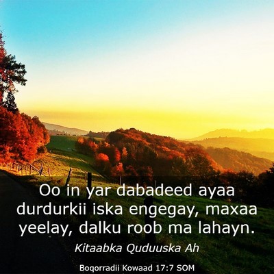 Picture 03 - Boqorradii Kowaad 17:7 SOM - Oo in yar dabadeed ayaa durdurkii iska engegay, - Bible Verse Picture