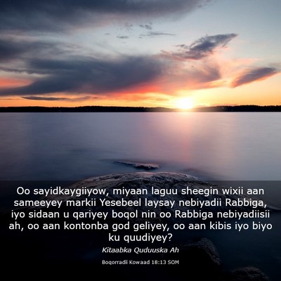 Picture 03 - Boqorradii Kowaad 18:13 SOM - Oo sayidkaygiiyow, miyaan laguu sheegin wixii aan - Bible Verse Picture