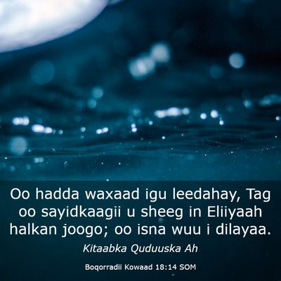 Picture 03 - Boqorradii Kowaad 18:14 SOM - Oo hadda waxaad igu leedahay, Tag oo sayidkaagii - Bible Verse Picture
