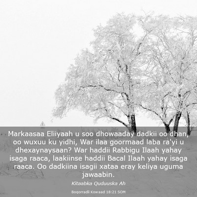 Picture 03 - Boqorradii Kowaad 18:21 SOM - Markaasaa Eliiyaah u soo dhowaaday dadkii oo - Bible Verse Picture