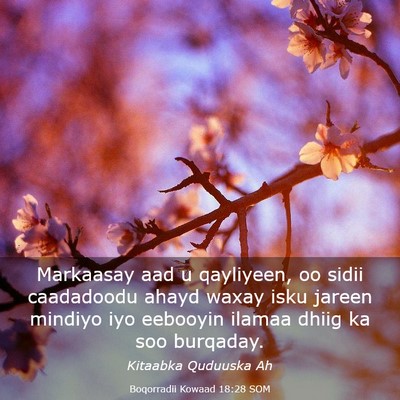 Picture 03 - Boqorradii Kowaad 18:28 SOM - Markaasay aad u qayliyeen, oo sidii caadadoodu - Bible Verse Picture