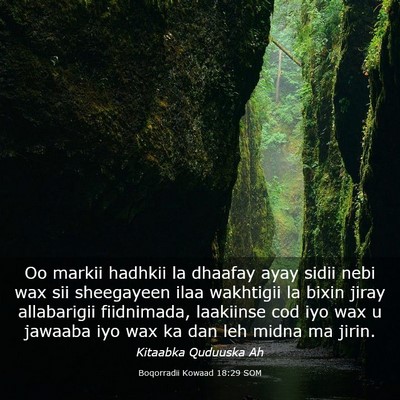 Picture 03 - Boqorradii Kowaad 18:29 SOM - Oo markii hadhkii la dhaafay ayay sidii nebi wax - Bible Verse Picture