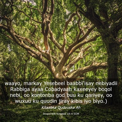 Picture 03 - Boqorradii Kowaad 18:4 SOM - waayo, markay Yesebeel baabbi'isay nebiyadii - Bible Verse Picture