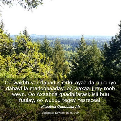 Picture 03 - Boqorradii Kowaad 18:45 SOM - Oo wakhti yar dabadiis cirkii ayaa daruuro iyo - Bible Verse Picture